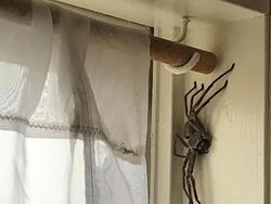 Potret Viral Kesialan Tak Terduga, Miris Tapi Kocak