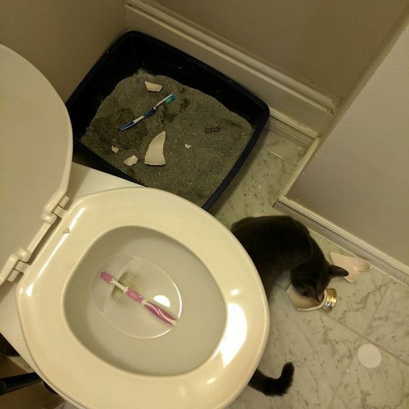 Kesialan menggelikan