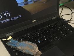 Potret Viral Kesialan Tak Terduga, Miris Tapi Kocak