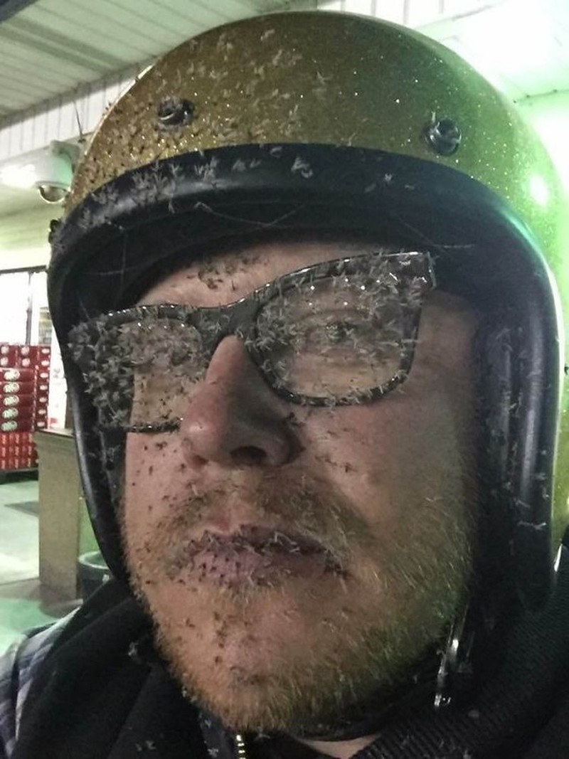 Kesialan menggelikan