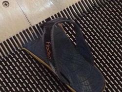 Potret Viral Kesialan Tak Terduga, Miris Tapi Kocak