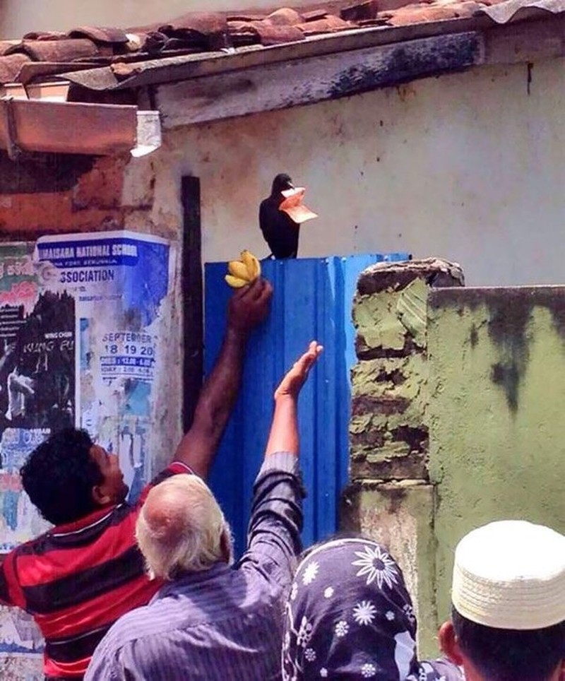 Kesialan menggelikan