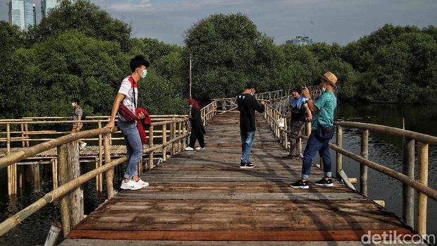 Libur Lebaran kerap dimanfaatkan masyarakat untuk berwisata bersama keluarga. Di PIK, kawasan ekowisata berbasis hutan mangrove ini cocok untuk libur Lebaran.