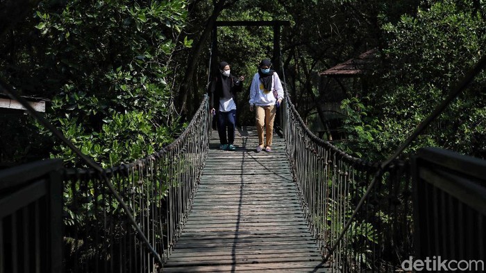 Libur Lebaran kerap dimanfaatkan masyarakat untuk berwisata bersama keluarga. Di PIK, kawasan ekowisata berbasis hutan mangrove ini cocok untuk libur Lebaran.