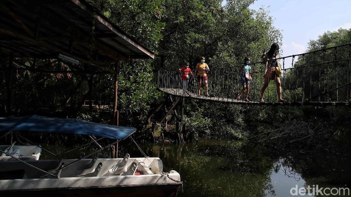 Libur Lebaran kerap dimanfaatkan masyarakat untuk berwisata bersama keluarga. Di PIK, kawasan ekowisata berbasis hutan mangrove ini cocok untuk libur Lebaran.