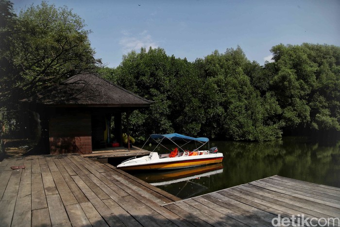Libur Lebaran kerap dimanfaatkan masyarakat untuk berwisata bersama keluarga. Di PIK, kawasan ekowisata berbasis hutan mangrove ini cocok untuk libur Lebaran.