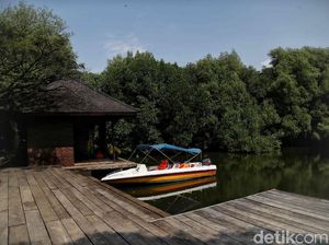 Kawasan PIK Jadi Proyek Strategis Nasional Jokowi yang Baru