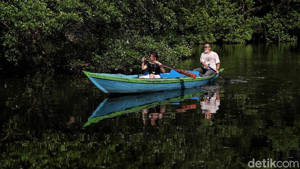 Hutan mangrove, Taman WIsata Angke Kapuk. Traveler yang berwisata ke hutan mangrove PIK bisa merasakan suasana hijau dan sejuk di Jakarta. Kamu bisa mengelilingi hutan bakau sambil menyusuri danau. Ingin lihat sunset? bisa juga! Hutan Mangrove PIK berlokasi dekat pantai, jadi traveler dapat menyaksikan cantiknya matahari terbenam. Untuk tiket masuk, traveler cukup mengeluarkan uang mulai dari Rp 10 ribu. Pradita Utama/detikcom. Hutan mangrove, Taman WIsata Angke Kapuk. Traveler yang berwisata ke hutan mangrove PIK bisa merasakan suasana hijau dan sejuk di Jakarta. Kamu bisa mengelilingi hutan bakau sambil menyusuri danau. Ingin lihat sunset? bisa juga! Hutan Mangrove PIK berlokasi dekat pantai, jadi traveler dapat menyaksikan cantiknya matahari terbenam. Untuk tiket masuk, traveler cukup mengeluarkan uang mulai dari Rp 10 ribu. Pradita Utama/detikcom.