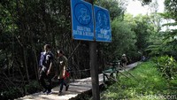 Kawasan ekowisata ini juga menerapkan protokol kesehatan yang ketat. Selain mewajibkan pengunjung untuk menggunakan masker, jumlah pengunjung pun dibatasi untuk mencegah kerumunan.