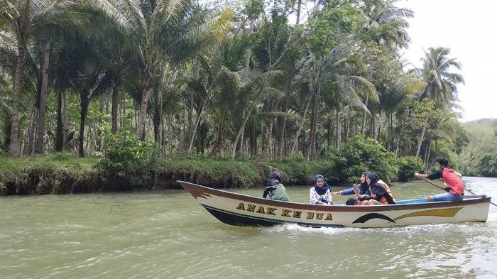 Wisata susur Sungai Maron berangkat dari Pantai Ngiroboyo