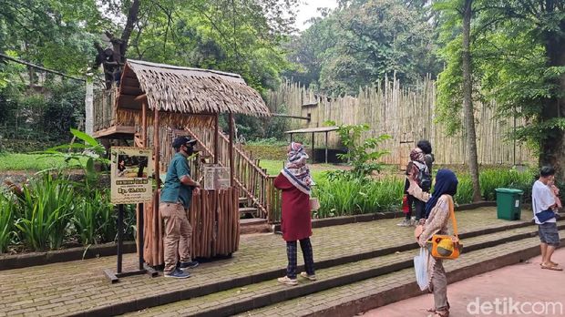 Bandung Zoo Diserbu Ribuan Turis Hari Ini