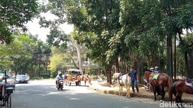Berkuda di Taman Cilaki Bandung