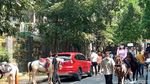 Berkuda di Tengah Kota Bandung, Bisa!