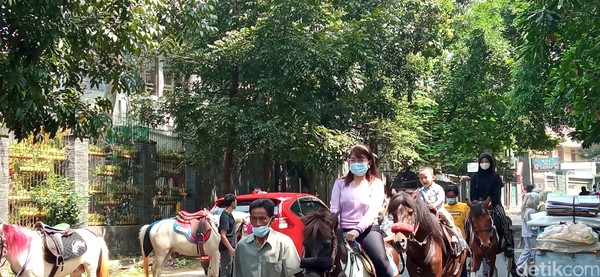 Ekspresi penunggang kuda begitu lucu. Ada yang serius ada juga yang terlihat riang saat kuda yang ditunggangi mendekati keluarga yang duduk di tepi jalan. Ekspresi penunggang kuda begitu lucu. Ada yang serius ada juga yang terlihat riang saat kuda yang ditunggangi mendekati keluarga yang duduk di tepi jalan.