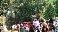 Ekspresi penunggang kuda begitu lucu. Ada yang serius ada juga yang terlihat riang saat kuda yang ditunggangi mendekati keluarga yang duduk di tepi jalan.
