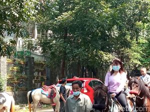 Berkuda di Tengah Kota Bandung, Bisa!