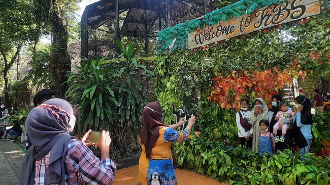 Panduan Berlibur ke Kebun Binatang Surabaya, Rute hingga Harga Tiket