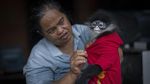 Kisah Coki, Si Kekah dari Natuna