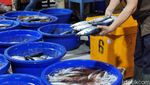 Hiruk Pikuk Tsukiji Indonesia di Malam Lebaran
