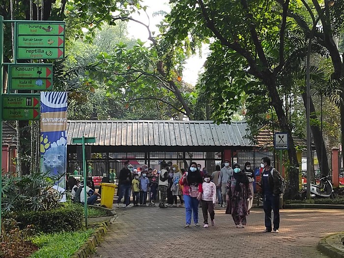 Pengunjung Padati Ragunan Pagi Ini
