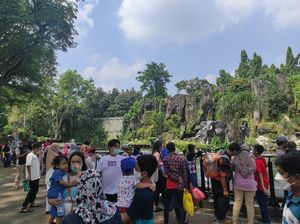 Jelang Siang, 7.536 Orang Kunjungi Ragunan di Hari Kedua Lebaran