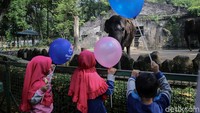 Namun, hanya warga ber-KTP Jakarta yang bisa masuk ke obyek wisata di bilangan Jakarta Selatan ini sebagai bentuk upaya pencegahan penularan COVID-19.   