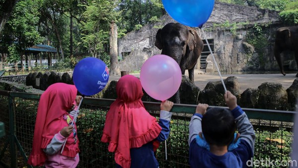 Namun, hanya warga ber-KTP Jakarta yang bisa masuk ke obyek wisata di bilangan Jakarta Selatan ini sebagai bentuk upaya pencegahan penularan COVID-19. Namun, hanya warga ber-KTP Jakarta yang bisa masuk ke obyek wisata di bilangan Jakarta Selatan ini sebagai bentuk upaya pencegahan penularan COVID-19.