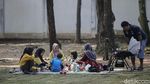 Dibuka Lagi, Wisata Ragunan Diserbu Warga Jakarta