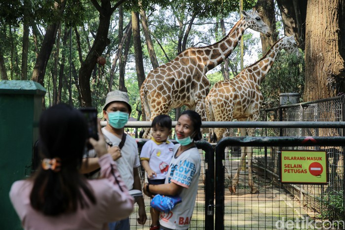 Sejumlah wisatawan memadati Taman Margasatwa Ragunan pada H+2 hari raya Idul FItri 1442 H, Jakarta, Jumat (14/5/2021).