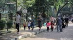 Dibuka Lagi, Wisata Ragunan Diserbu Warga Jakarta