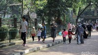 Staf Pelayanan Informasi dan Kehumasan Ragunan, Wahyudi Bambang mengungkapkan, Ragunan juga menyediakan fasilitas bus TransJakarta gratis bagi para pengunjung yang ingin langsung keluar area Ragunan. Hal ini ditujukan untuk menghindari adanya kepadatan para pengunjung.  