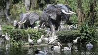 Sebagai informasi, Ragunan dibuka sampai 30 Mei 2021 dan beroperasional pada pukul 07.00 WIB hingga 14.00 WIB. Namun, setiap hari Senin Ragunan akan ditutup.  