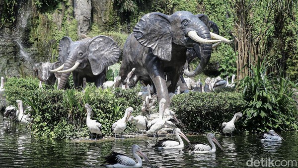 Sebagai informasi, Ragunan dibuka sampai 30 Mei 2021 dan beroperasional pada pukul 07.00 WIB hingga 14.00 WIB. Namun, setiap hari Senin Ragunan akan ditutup. Sebagai informasi, Ragunan dibuka sampai 30 Mei 2021 dan beroperasional pada pukul 07.00 WIB hingga 14.00 WIB. Namun, setiap hari Senin Ragunan akan ditutup.