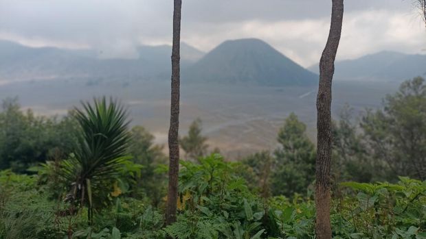 Balai Besar TNBTS menutup dua destinasi wisata, Gunung Bromo dan Gunung Semeru. Penutupan dilakukan untuk mengantisipasi penyebaran COVID-19.
