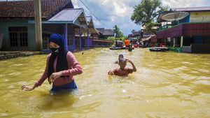 Banjir Setinggi Pinggang Rendam Tanah Bumbu Kalimantan Selatan