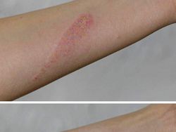 Kumpulan Tato Keren yang Bisa Nyala