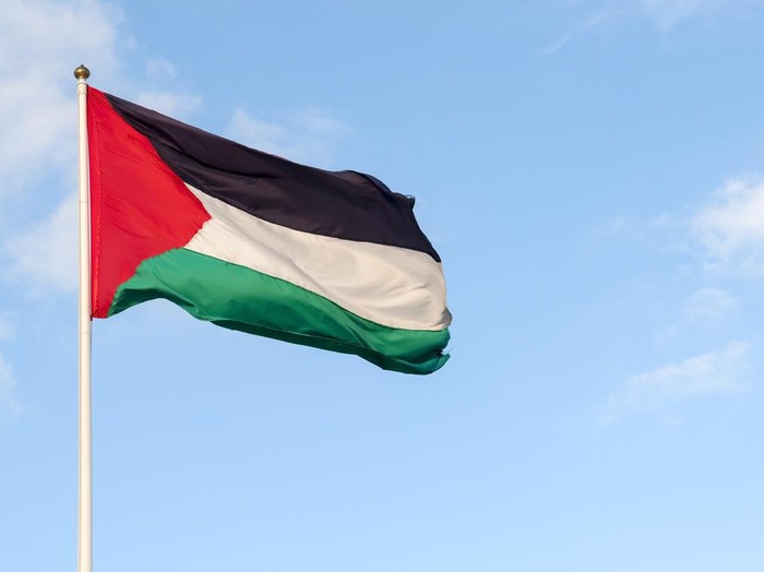 Palestinian flag and sky. Photo taken in the West Bank.