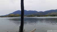 Rahasia rumah panggung di Danau Sentani bisa kokoh bertahan terletak pada kayu soang. Sejak dulu, kayu ini sudah dikenal oleh masyarakat Sentani, sebagai bahan utama rumah panggung. Kayu ini bisa bertahan ratusan tahun di dalam air. (Hari Suroto/Istimewa)