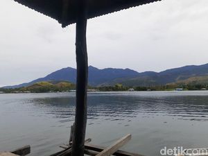 Foto Kayu Ajaib dari Papua, Tahan Ratusan Tahun Terendam Air