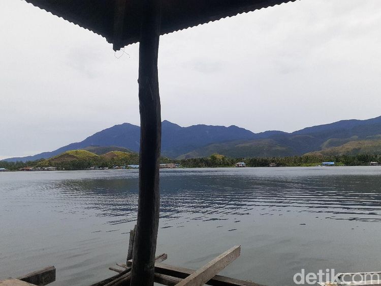 Foto Kayu Ajaib dari Papua, Tahan Ratusan Tahun Terendam Air