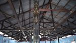 Foto Kayu Ajaib dari Papua, Tahan Ratusan Tahun Terendam Air