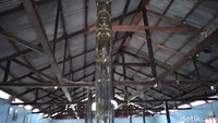 Pertumbuhan kayu soang cukup lama. Butuh waktu minimal 50 tahun untuk mencapai diameter ideal untuk digunakan sebagai tiang rumah. Masyarakat Sentani punya peraturan adat dalam memanfaatkan kayu soang untuk tiang rumah mereka, tidak boleh sembarangan mengambil kayu di Pegunungan Cyclops. (Hari Suroto/Istimewa)