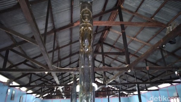 Pertumbuhan kayu soang cukup lama. Butuh waktu minimal 50 tahun untuk mencapai diameter ideal untuk digunakan sebagai tiang rumah. Masyarakat Sentani punya peraturan adat dalam memanfaatkan kayu soang untuk tiang rumah mereka, tidak boleh sembarangan mengambil kayu di Pegunungan Cyclops. (Hari Suroto/Istimewa) Pertumbuhan kayu soang cukup lama. Butuh waktu minimal 50 tahun untuk mencapai diameter ideal untuk digunakan sebagai tiang rumah. Masyarakat Sentani punya peraturan adat dalam memanfaatkan kayu soang untuk tiang rumah mereka, tidak boleh sembarangan mengambil kayu di Pegunungan Cyclops. (Hari Suroto/Istimewa)