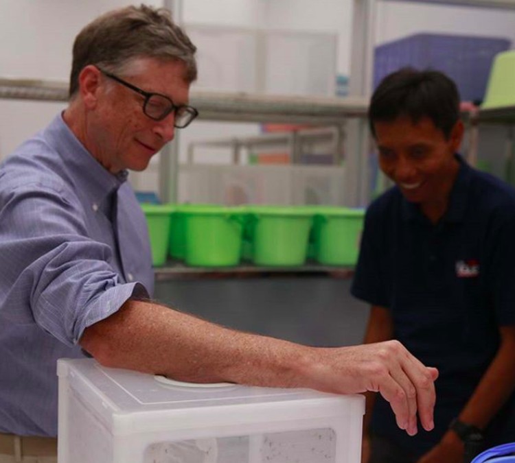Bill Gates miskin