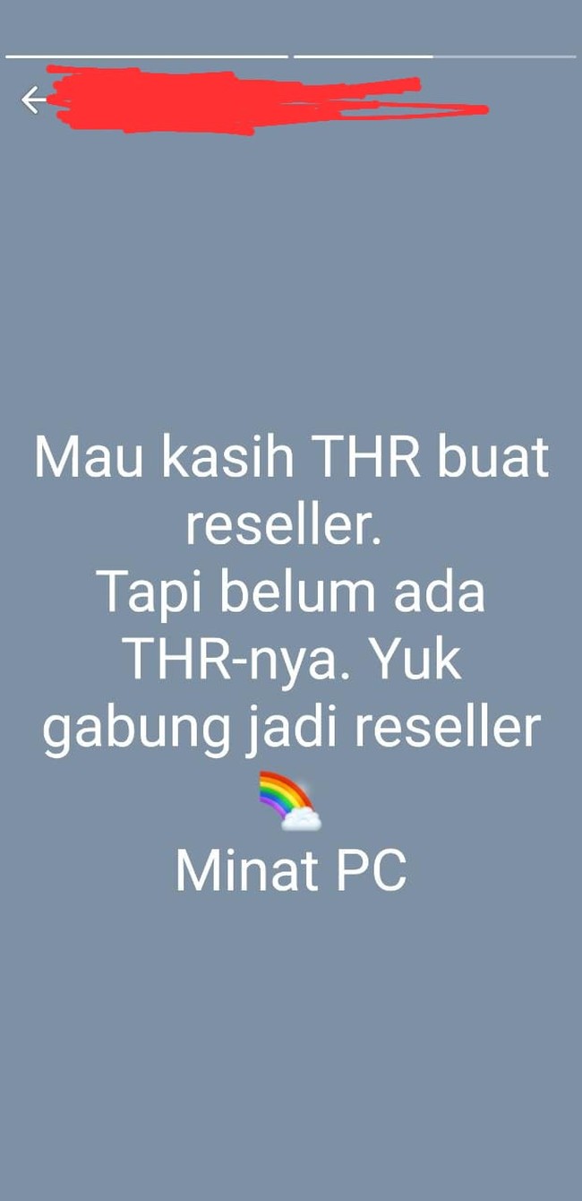 Jadi maksud status si penjual online shop yang satu ini apa ya? Sebenarnya niat ngasih THR nggak sih? Foto: Instagram/@rajaherp