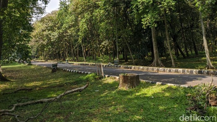 Tempat-tempat wisata di Kabupaten Pasuruan buka selama libur Lebaran. Salah satu yang layak dikunjungi Kebun Raya Purwodadi.