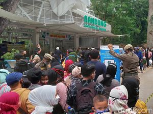 Utang Rp 13,5 M Bikin Kebun Binatang Bandung Terancam Disegel