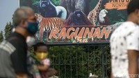 Mereka terpaksa balik kanan dan meninggalkan area Taman Wisata Ragunan.