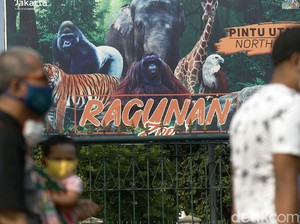 Imbas Penguatan PPKM Mikro, Taman Margasatwa Ragunan Sementara Ditutup