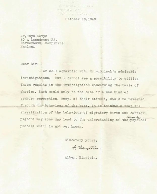 Albert Einstein